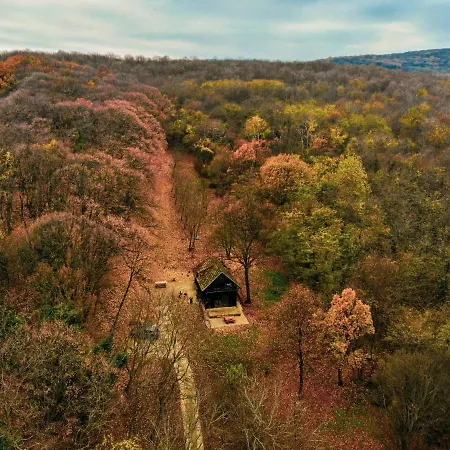 Rent A Forest, Hidden In The Fruska Gora