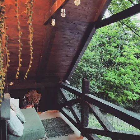 Rent A Forest, Hidden In The Fruska Gora *