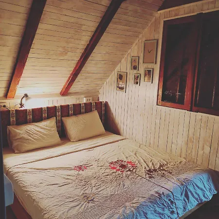 Rent A Forest, Hidden In The Fruska Gora