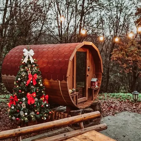 Rent A Forest, Hidden In The Fruska Gora